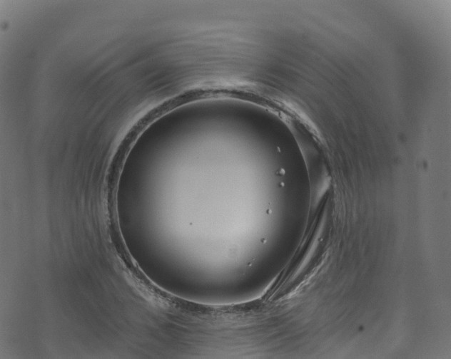 X0000070880976200606231338