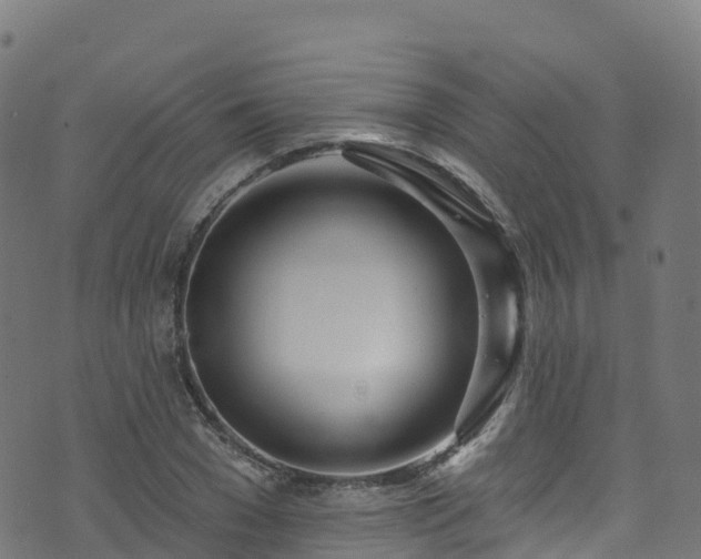 X0000070880977200606231338