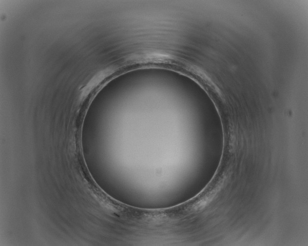 X0000070880978200606231338