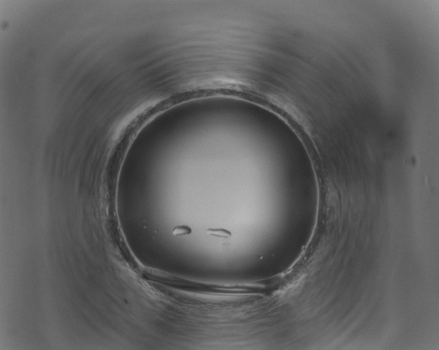 X0000070880979200606231338