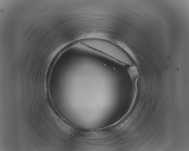 X0000070880980200606231338