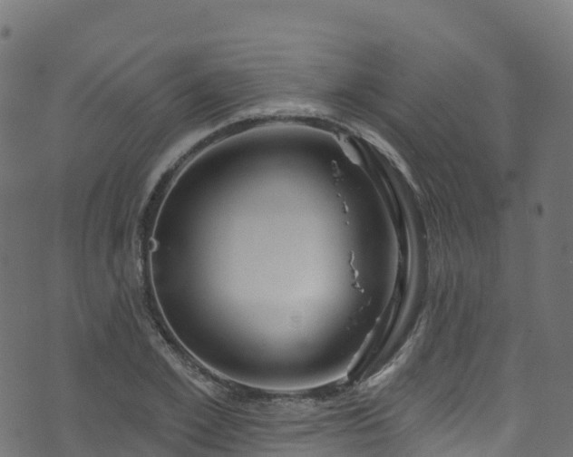 X0000070880981200606231338