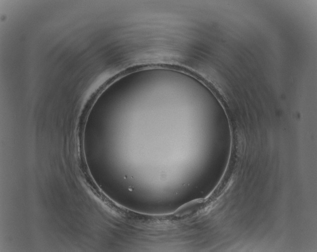 X0000070880982200606231338