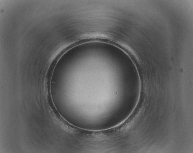 X0000070880983200606231338