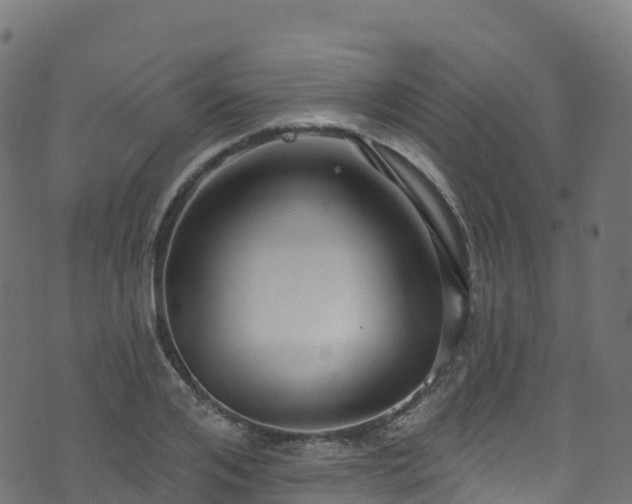 X0000070880984200606231338