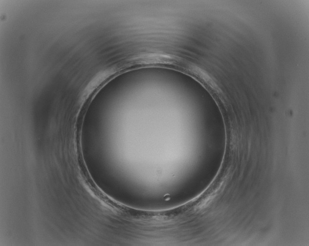 X0000070880986200606231338