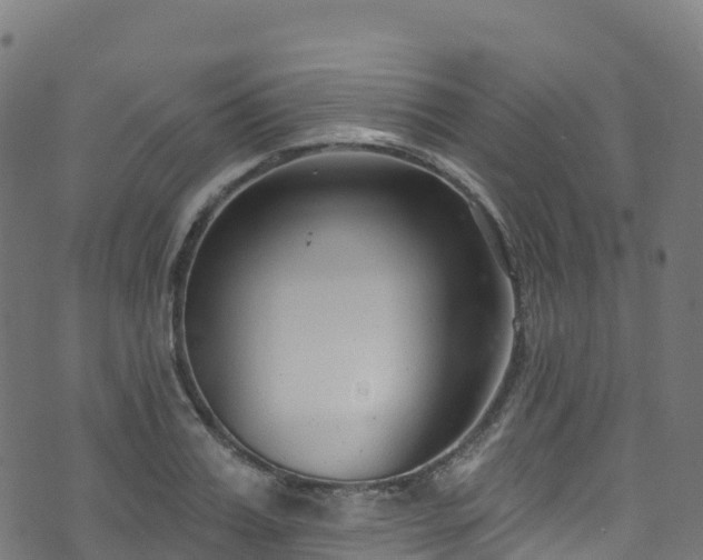 X0000070880987200606231338