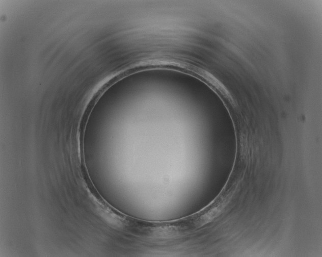 X0000070880988200606231338