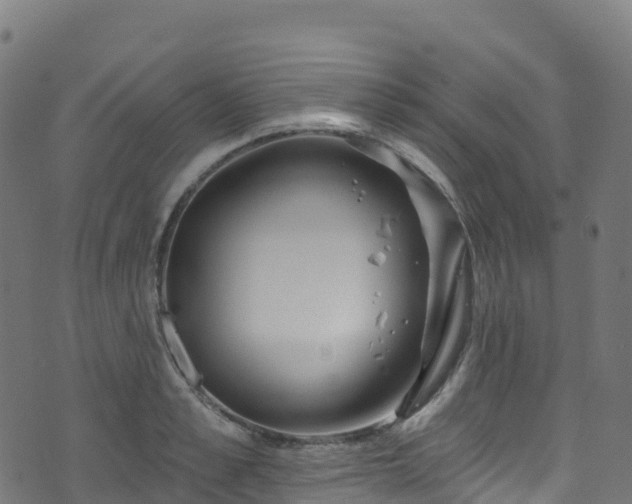 X0000070880989200606231338