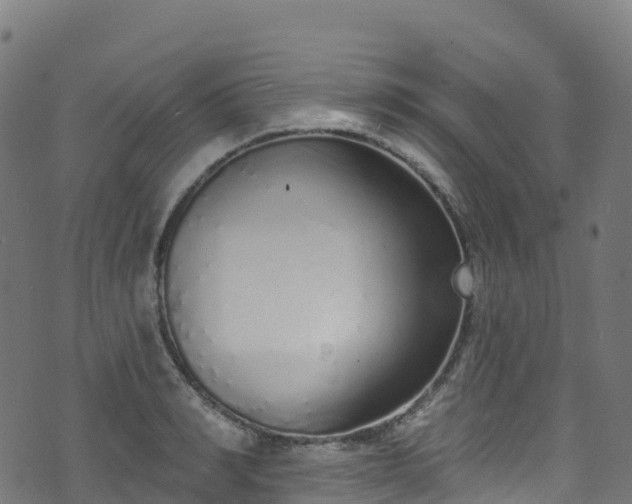 X0000070880990200606231338