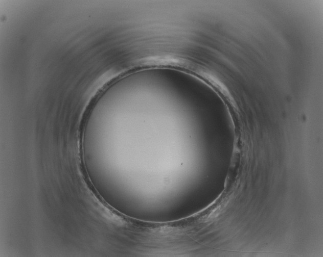 X0000070880992200606231338