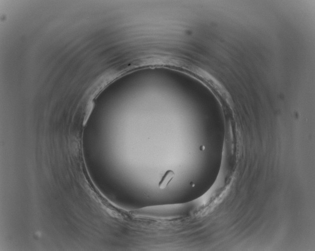 X0000070880993200606231338