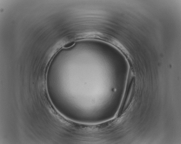 X0000070880994200606231338