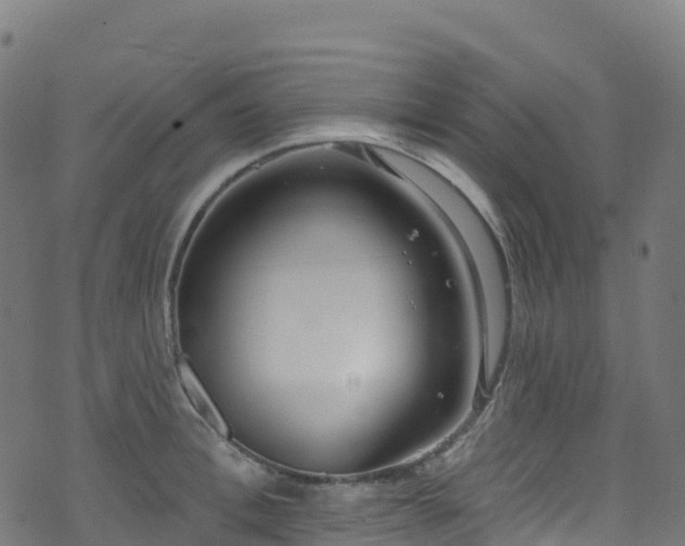 X0000070880996200606231338