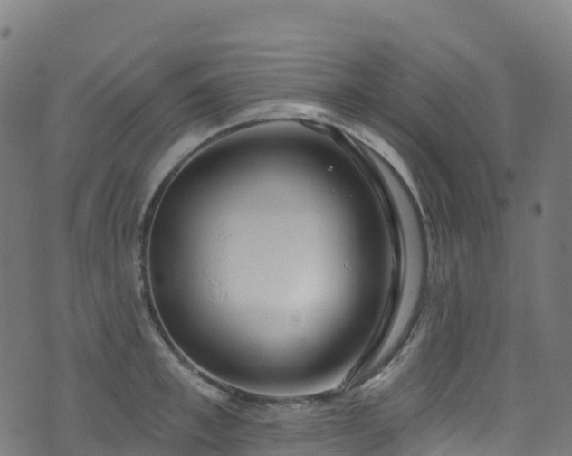 X0000070880997200606231338