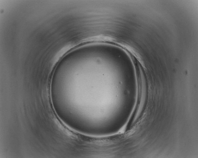 X0000070880998200606231338