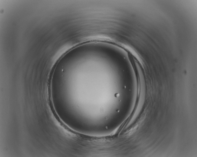 X0000070880999200606231338