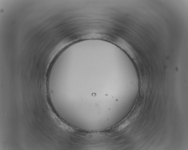 X0000070881000200606231338