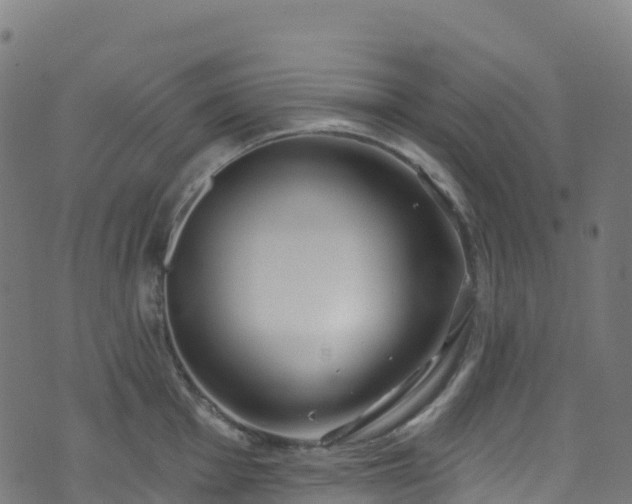 X0000070881001200606231338