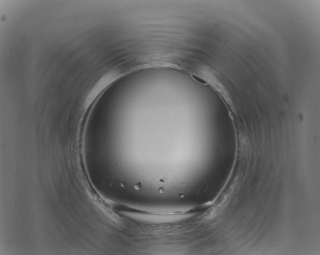 X0000070881002200606231338