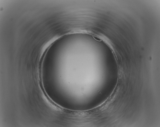 X0000070881003200606231338