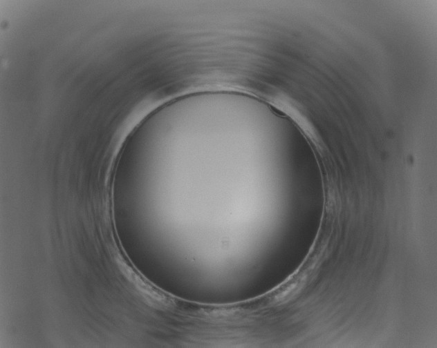 X0000070881004200606231338