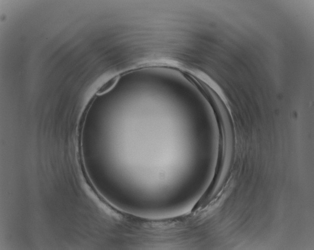 X0000070881005200606231338