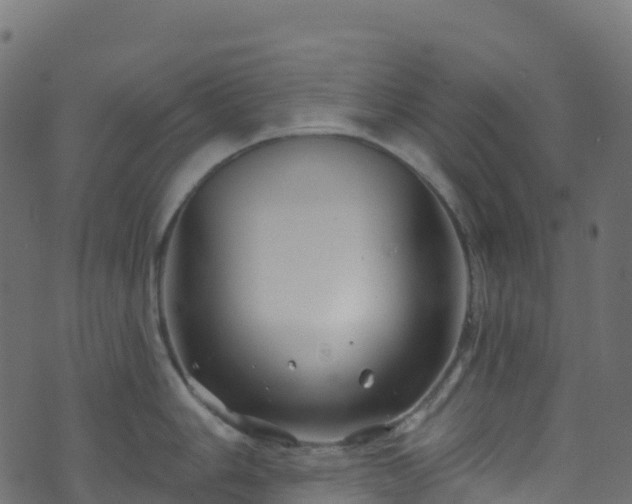 X0000070881006200606231338