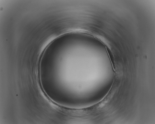 X0000070881007200606231338