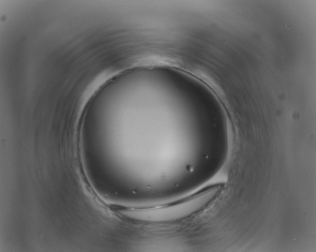 X0000070881008200606231338