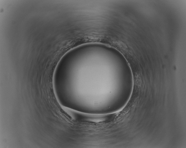 X0000070881009200606231337