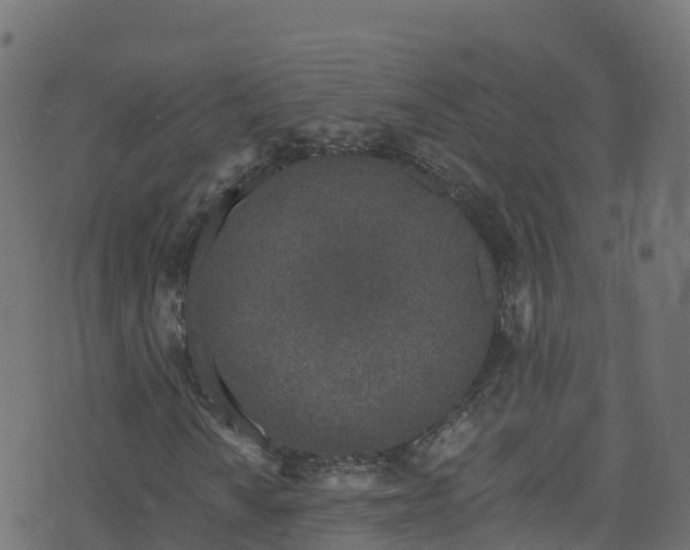 X0000070881010200606231337