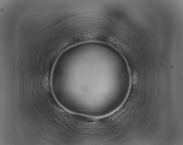 X0000070881011200606231337