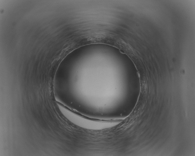 X0000070881012200606231337