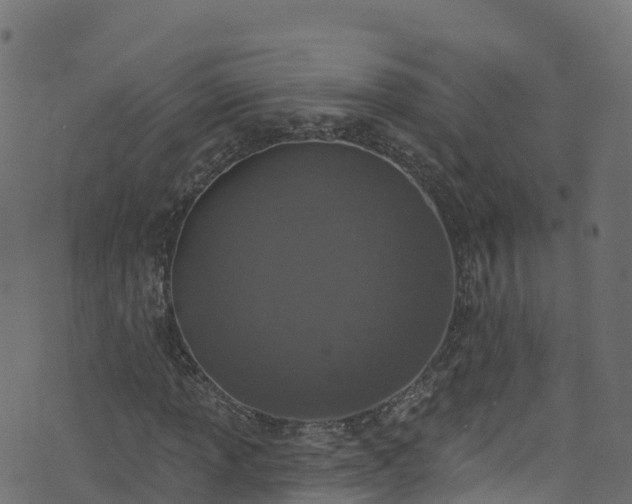 X0000070881013200606231337