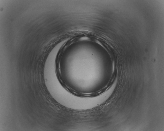 X0000070881014200606231337