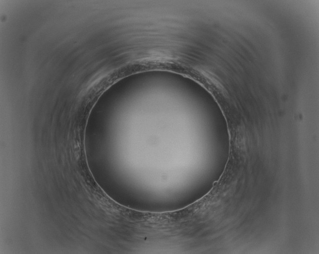 X0000070881015200606231337