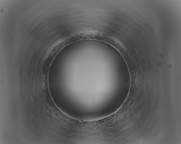 X0000070881016200606231337