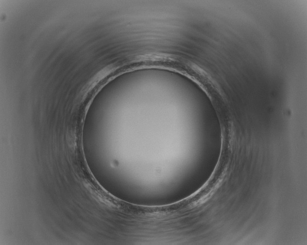 X0000070881017200606231337