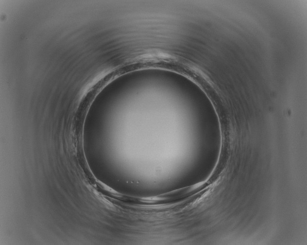 X0000070881018200606231337