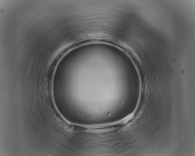 X0000070881019200606231337