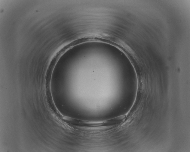 X0000070881020200606231337