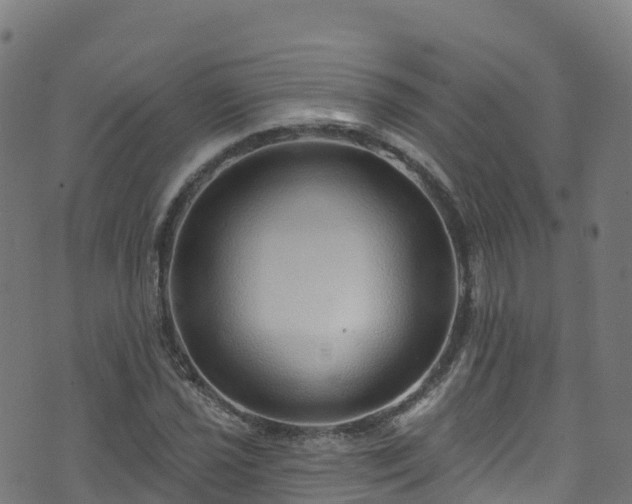 X0000070881021200606231337