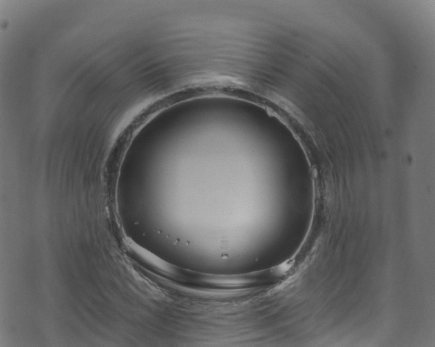 X0000070881022200606231337