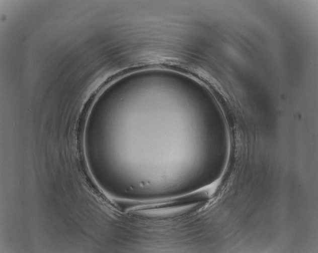 X0000070881023200606231337