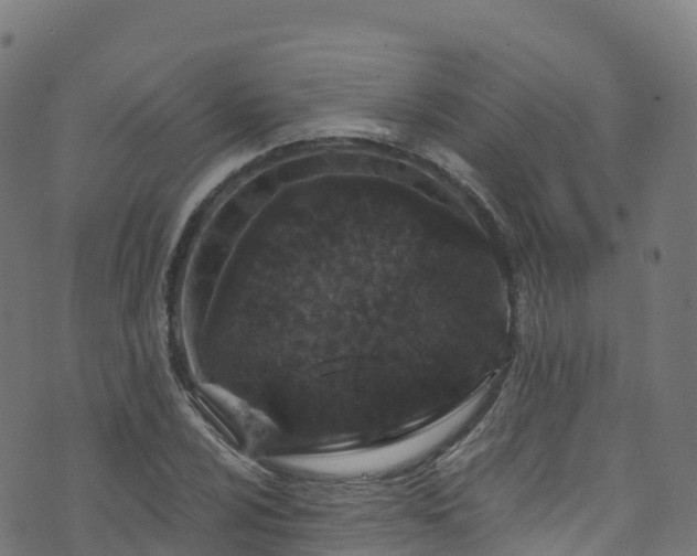 X0000070881024200606231337