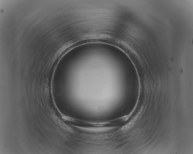 X0000070881025200606231337