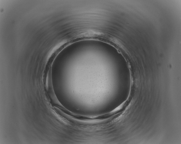 X0000070881026200606231337