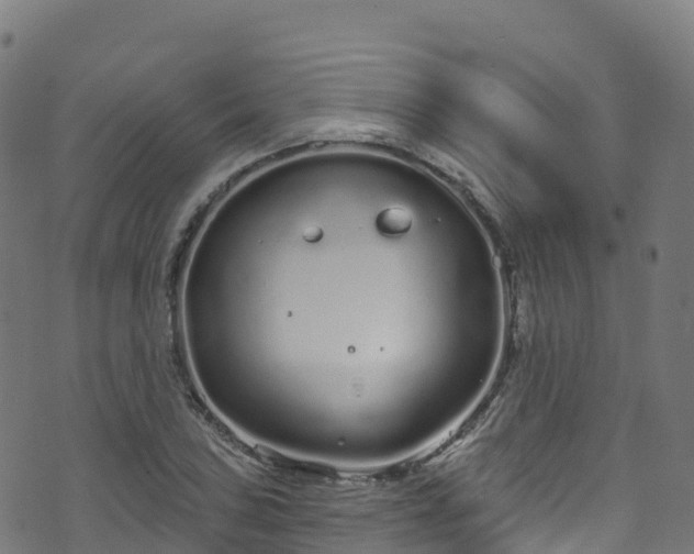 X0000070881027200606231337