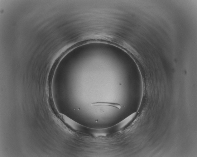 X0000070881028200606231337